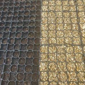 various stone chippings under mesh