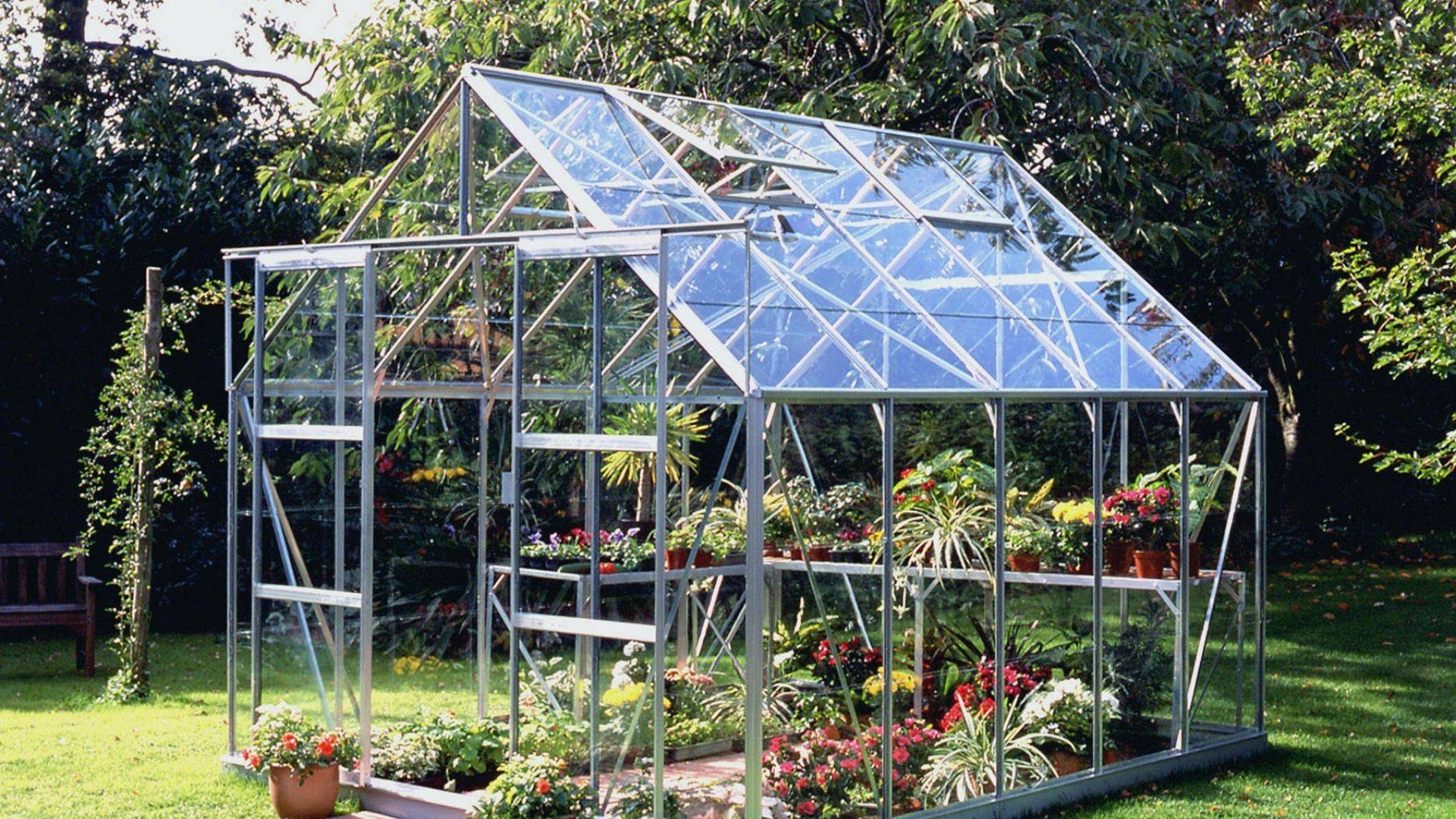 Greenhouse filled of flowers